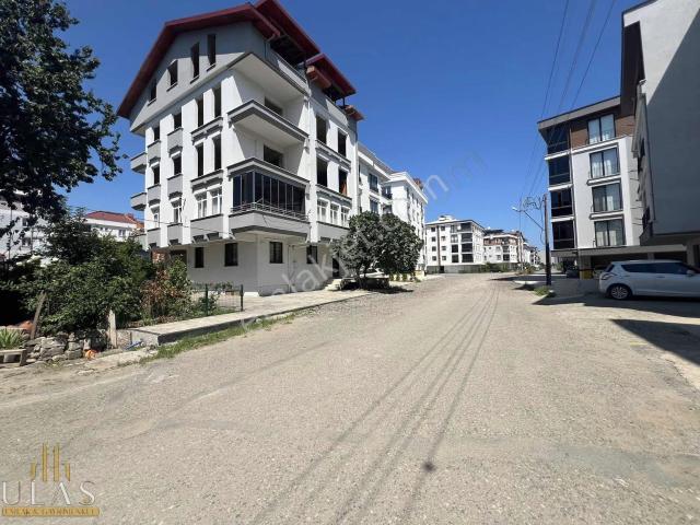 Ordu, Altınordu içerisinde kiralık mülk