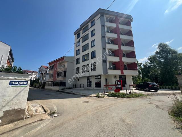 Ordu, Altınordu içerisinde kiralık mülk