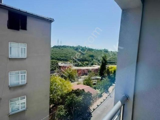 Sariyer, İstanbul içerisinde kiralık mülk
