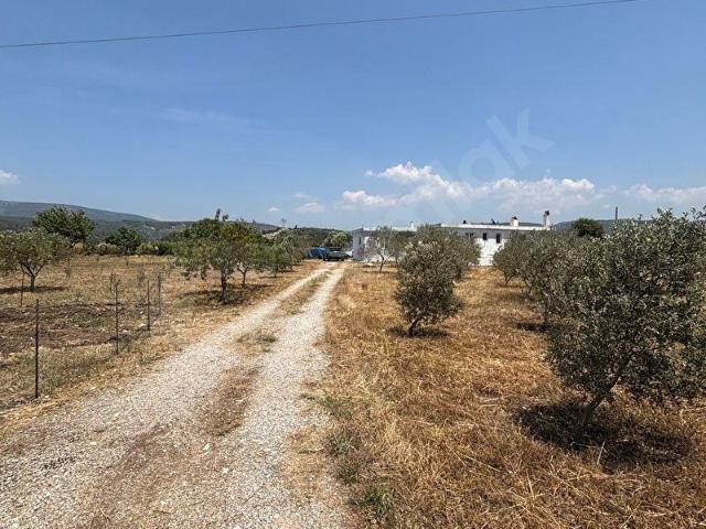 Milas, Muğla içerisinde satılık Arsa