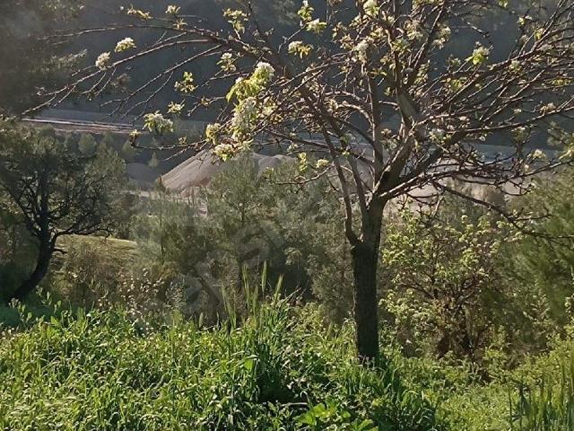 Ula, Muğla içerisinde satılık Arsa