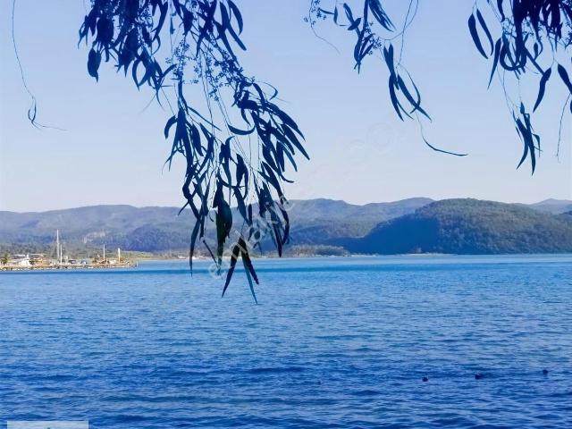 Ula, Muğla içerisinde kiralık Villa