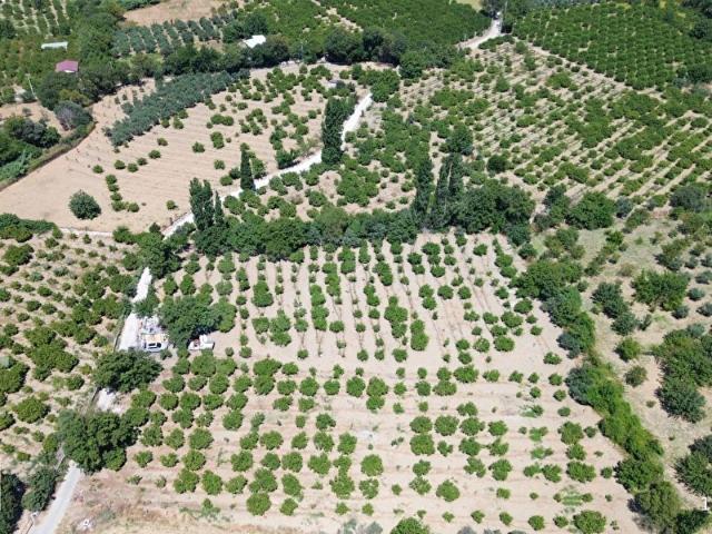 Seferihisar, İzmir içerisinde satılık mülk