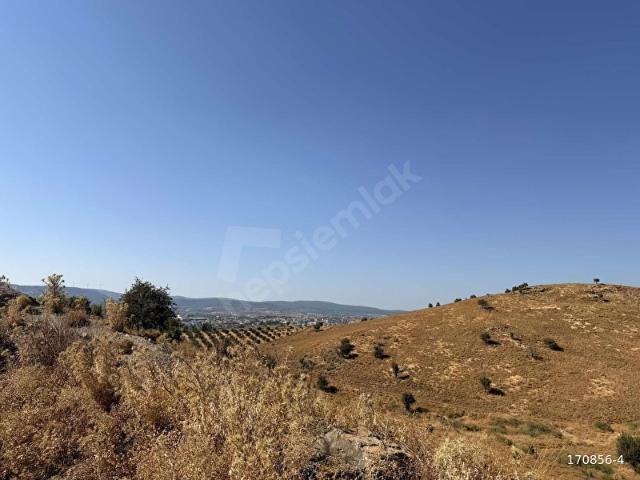 Seferihisar, İzmir içerisinde satılık Arsa