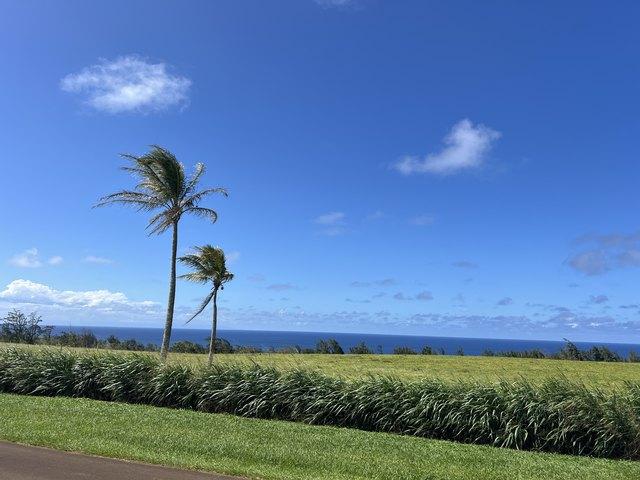 Land for sale in Hawi, Hawaii