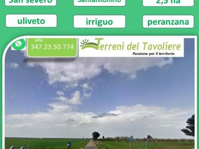 Terreno in vendita a San Severo, Foggia