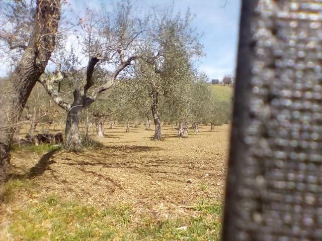 Terreno in vendita a Auletta, Campania