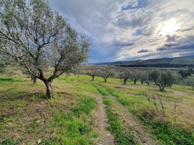 Terreno in vendita a Calabria, Catanzaro