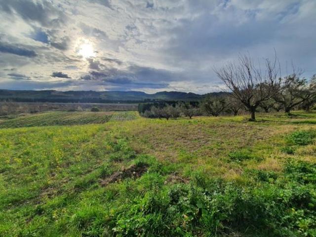 Terreno in vendita a Calabria, Catanzaro