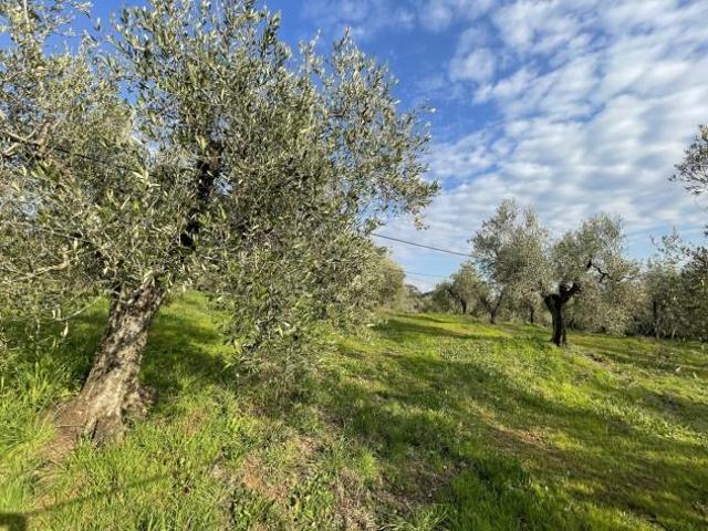 Terreno in vendita a Cecina, Toscana