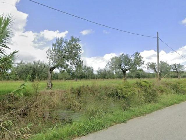 Terreno in vendita a Cecina, Toscana