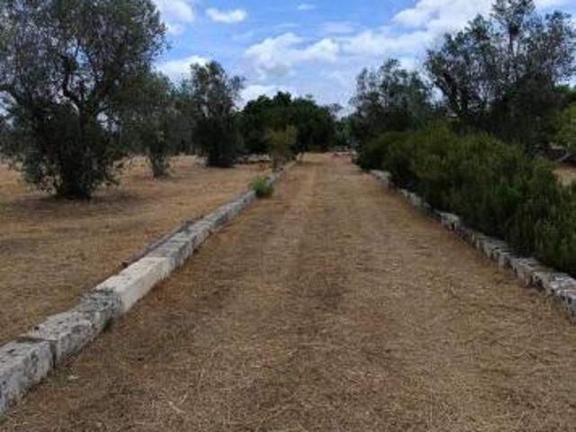 Terreno in vendita a Puglia, Lecce