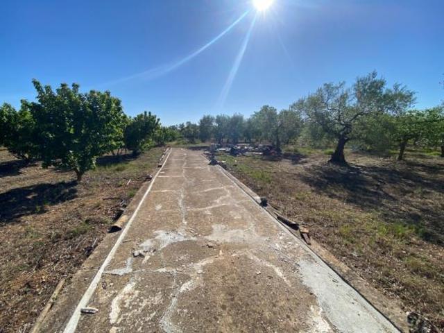 Terreno in vendita a Puglia, Bari
