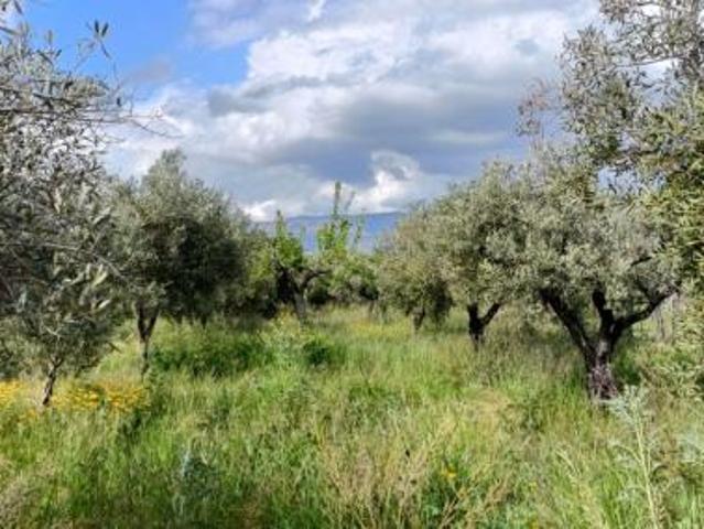 Terreno in vendita a Calabria, Catanzaro