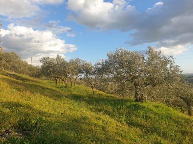 Terreno in vendita a Lugnano In Teverina, Umbria