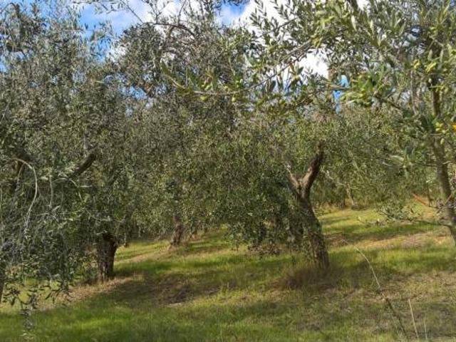 Terreno in vendita a Lugnano In Teverina, Umbria