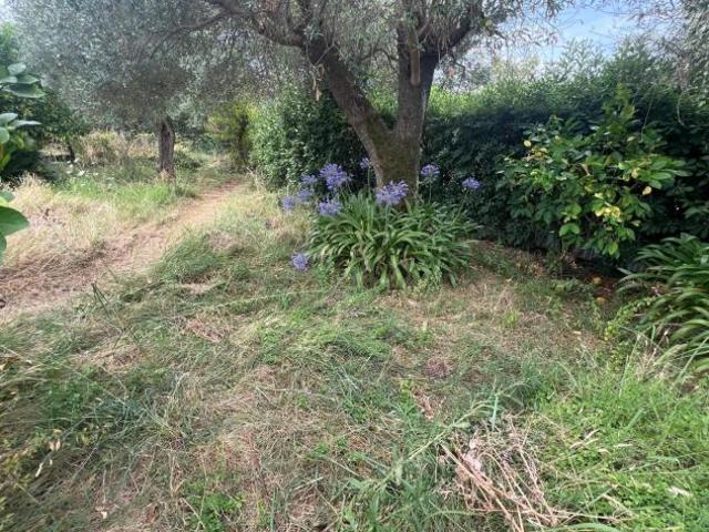 Terreno in vendita a Marina Di Massa, Toscana