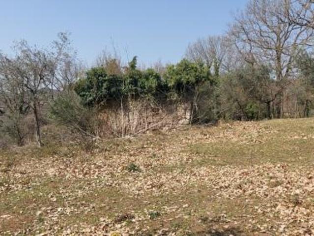 Terreno in vendita a Colpetrazzo, Umbria