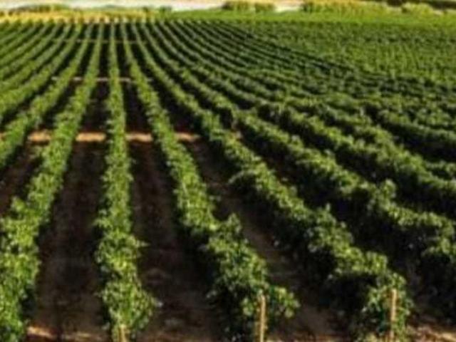Terreno in vendita a Mazara Del Vallo, Sicilia