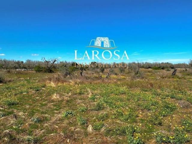 Terreno in vendita a Puglia, Lecce
