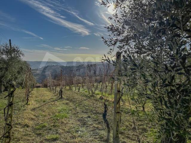 Terreno in vendita a Marche, Ancona