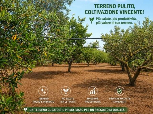 Terreno in vendita a Partinico, Sicilia
