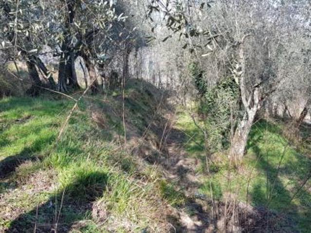 Terreno in vendita a Vezzano Ligure, Liguria