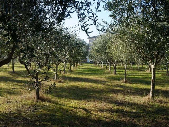 Terreno in vendita a Pesaro, Pesaro E Urbino