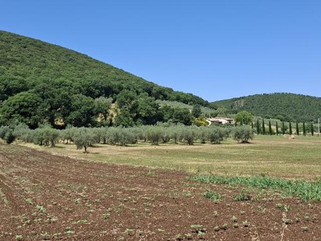 Terreno in vendita a Guardea, Umbria