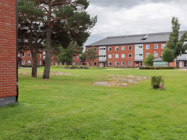 Lägenhet hyra i Östhammar, Uppsala