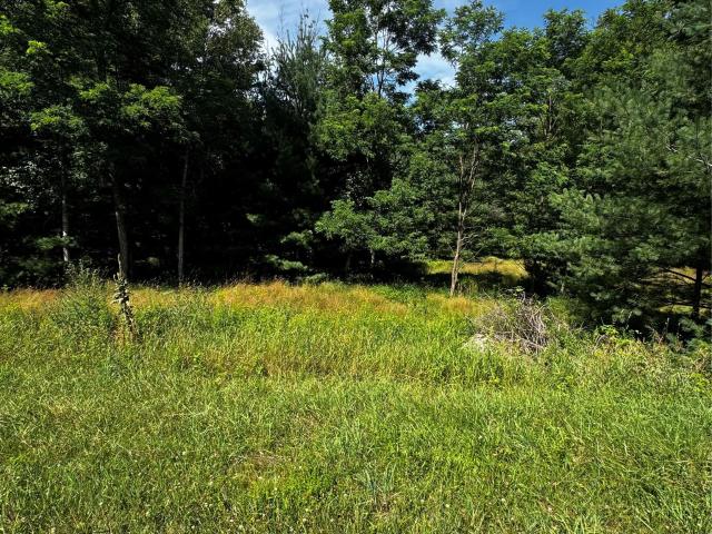 Land for sale in Fallsburg, New York