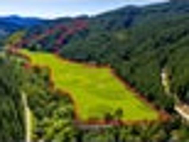 House for sale in Marlborough