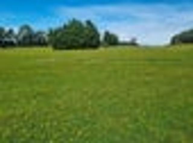 Land for sale in Otakou