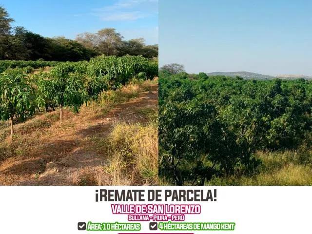 Terreno venta en Huancabamba, Piura