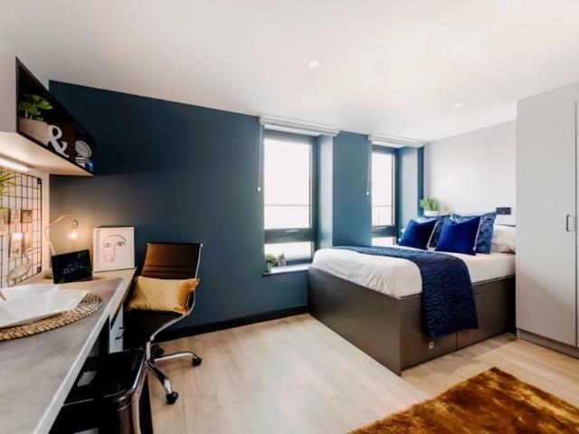 Studio for rent in Newtown, Falcon Lodge