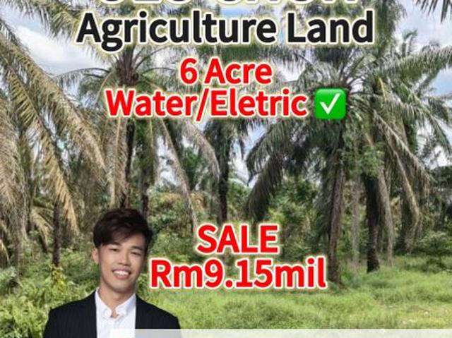 Shop for sale in Pekan Nenas, Johor