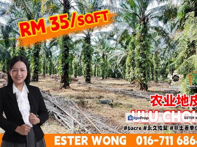 Shop for sale in Pekan Nenas, Johor