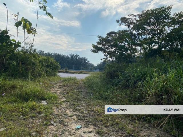 Warehouse for sale in Pekan Nenas, Johor