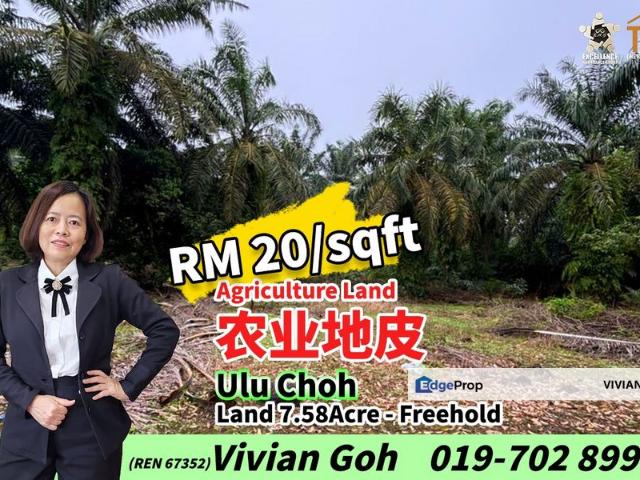Shop for sale in Pekan Nenas, Johor