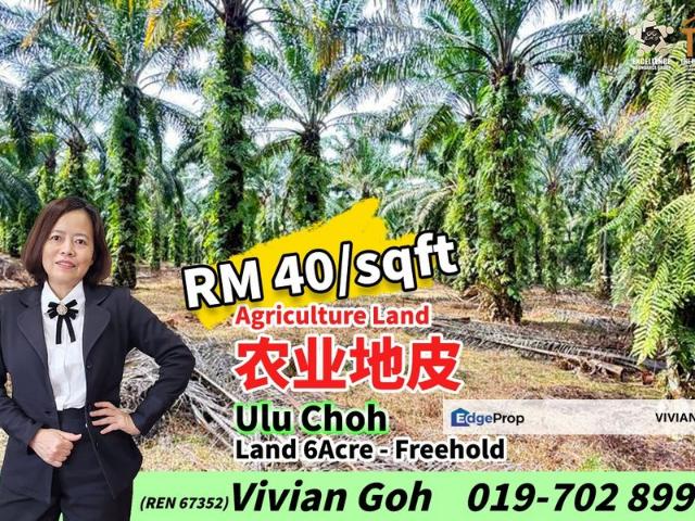 Shop for sale in Pekan Nenas, Johor