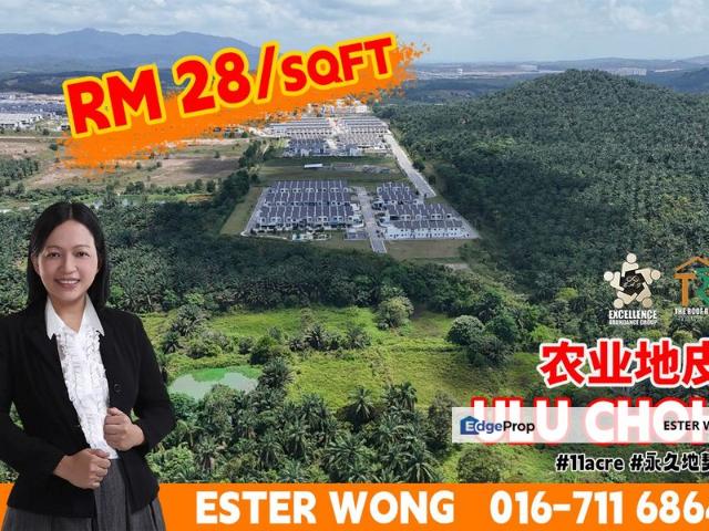 Shop for sale in Pekan Nenas, Johor
