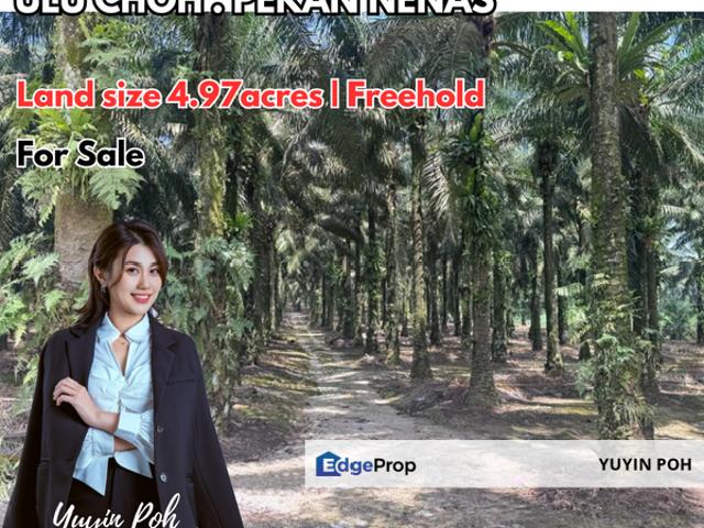 Shop for sale in Pekan Nenas, Johor