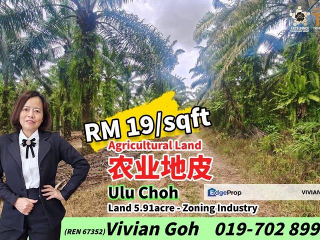 Shop for sale in Pekan Nenas, Johor