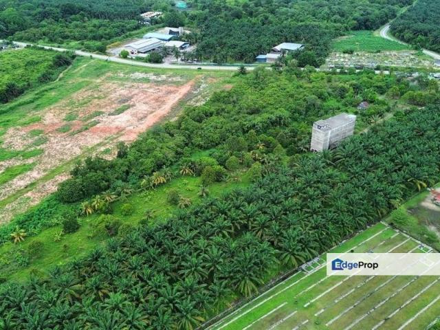 Warehouse for sale in Pekan Nenas, Johor