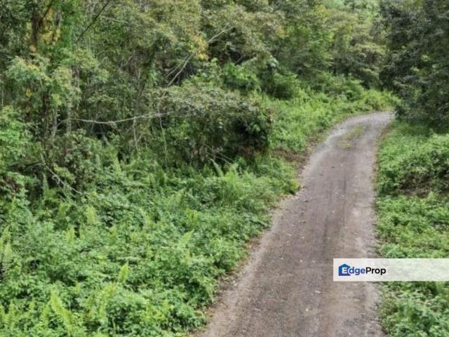 House for sale in Rengam, Johor