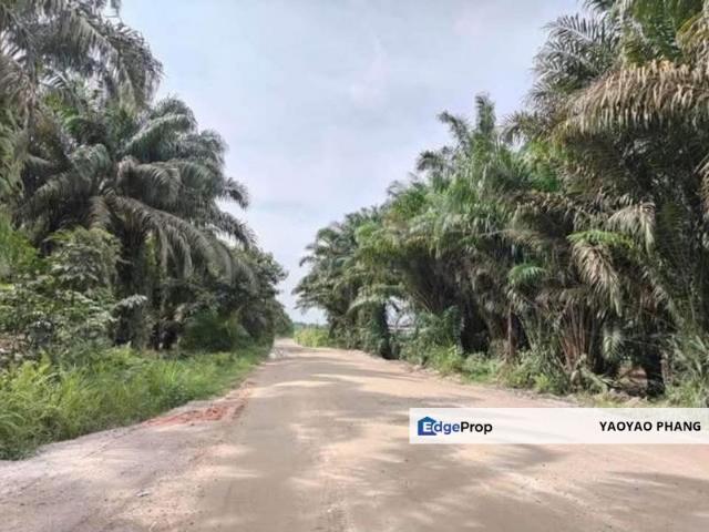 Shop for sale in Pekan Nenas, Johor
