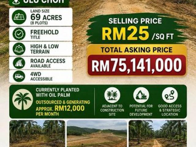 Shop for sale in Pekan Nenas, Johor