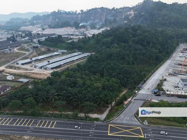Shop for sale in Pekan Nenas, Johor