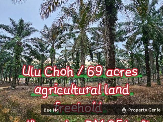 Property for sale in Pekan Nenas, Johor