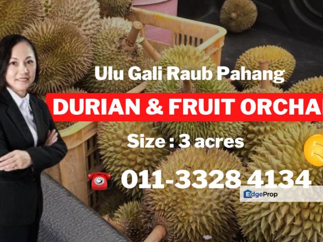 Shop for sale in Pahang